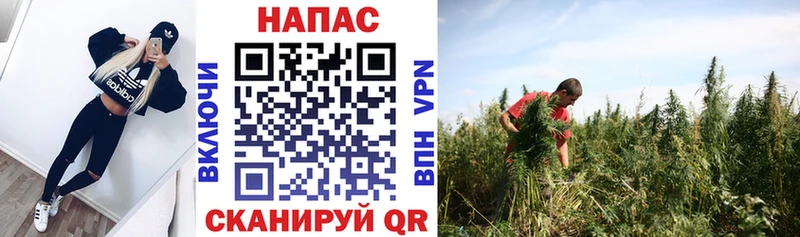 Бошки Шишки OG Kush Алексеевка
